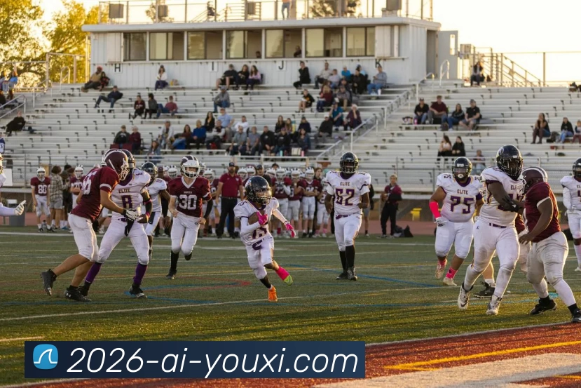 爱游戏APP 封面图